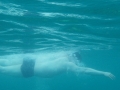 underwater view of swimmer