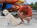 Bill Keogh and his dog